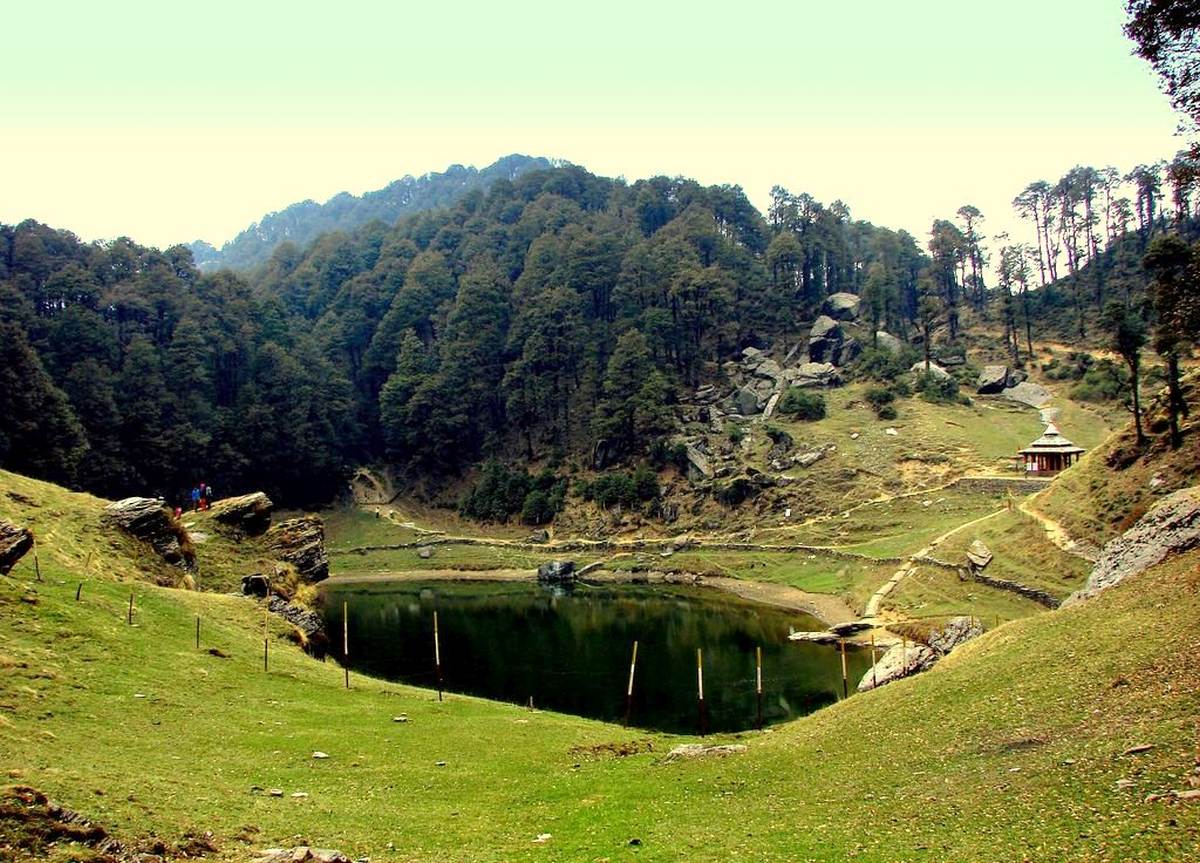 Jibhi